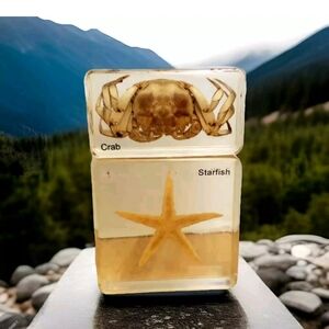 Vintage Starfish & Crab Forever in Lucite/Acrylic Paperweight Shelf Beach Decor